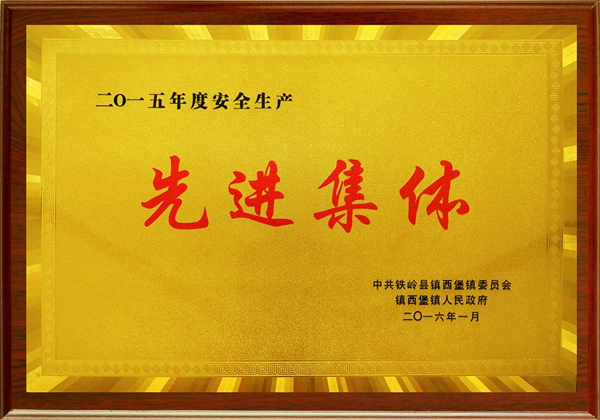 榮譽(yù)資質(zhì)